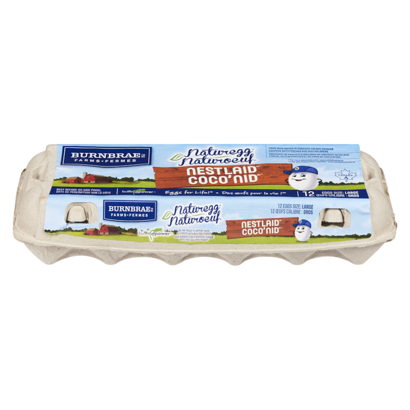 BurnBrae Extra Large 12 Eggs Size White