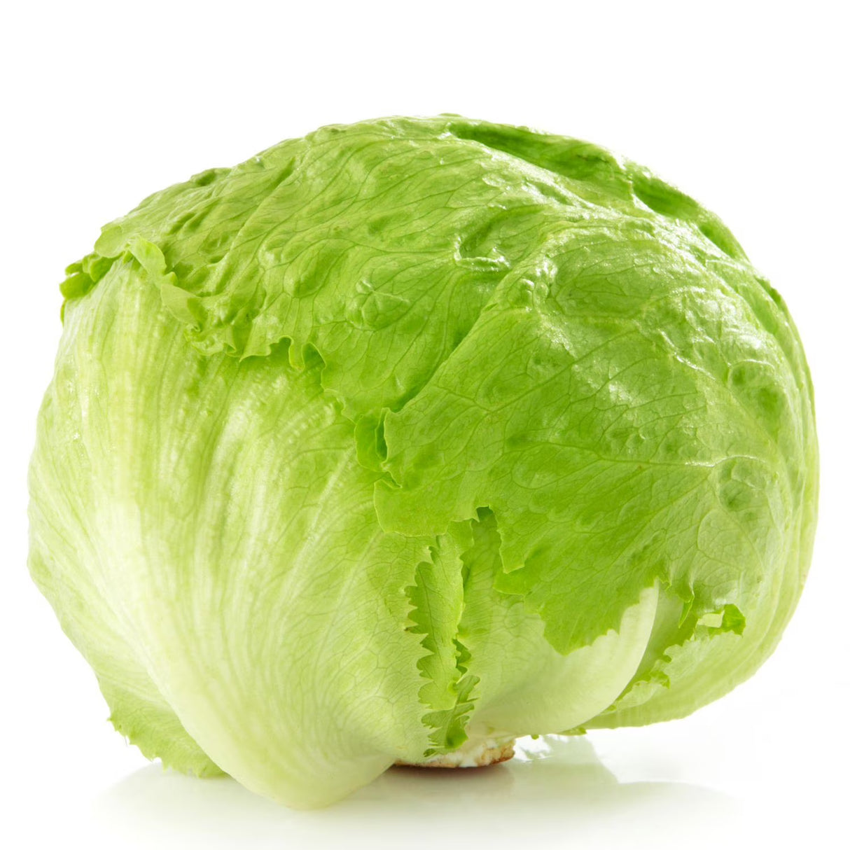 Iceberg Lettuce (Each)