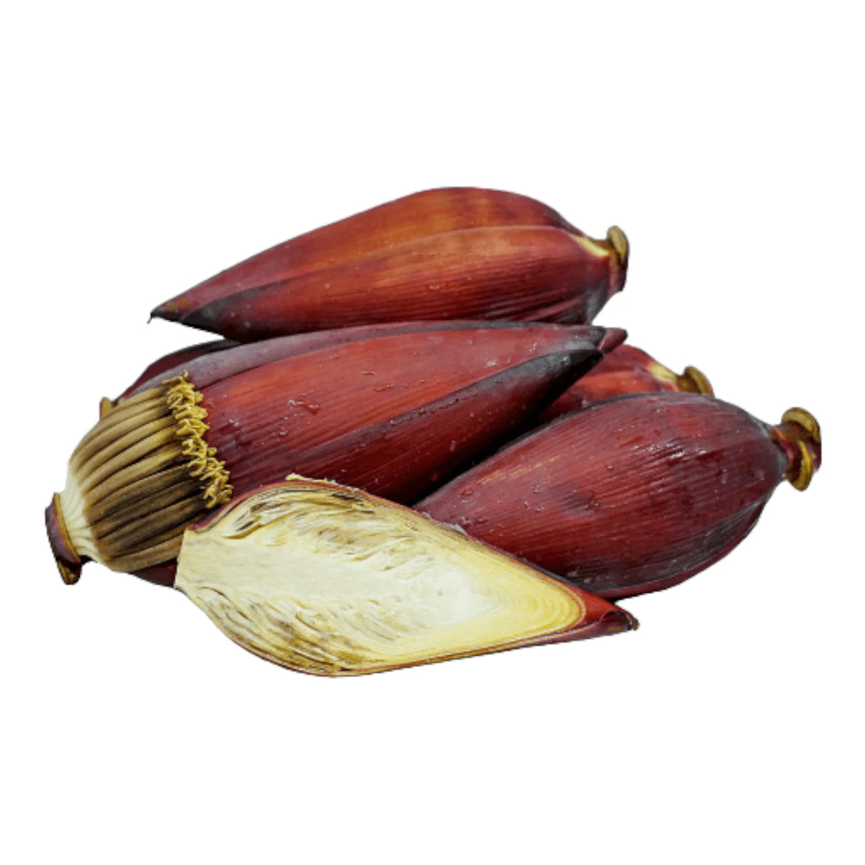 Banana Flower (Each)