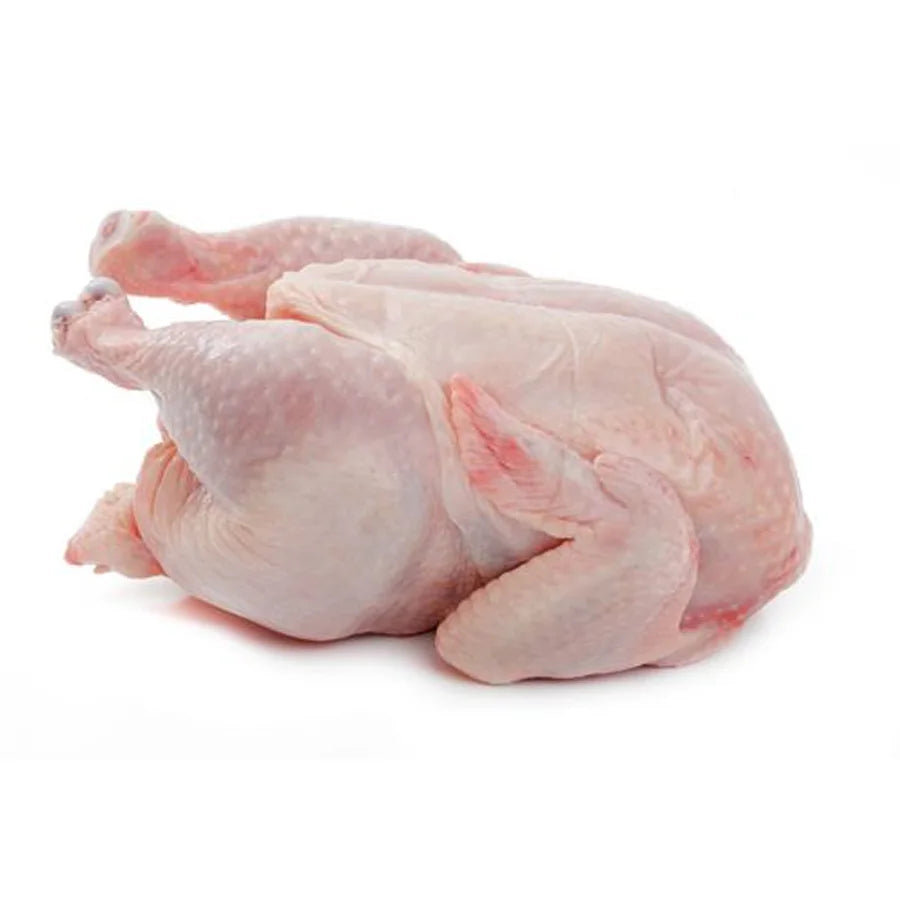 Broiler Chicken (Each)