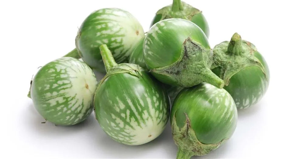 Thai Eggplant 1lb