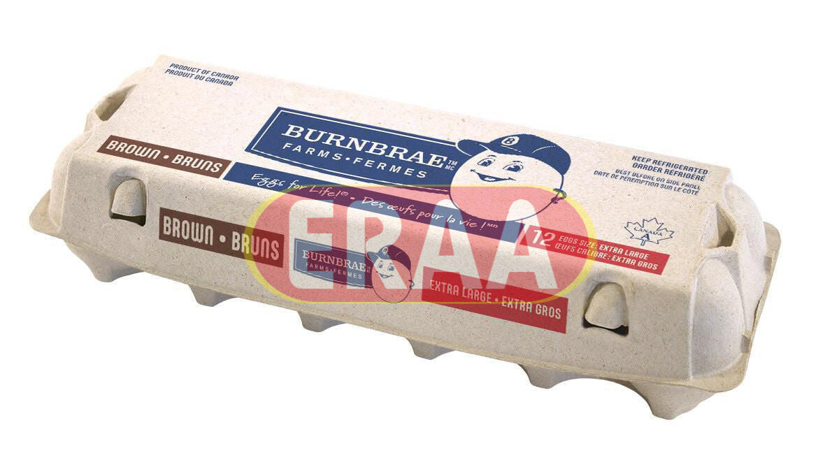 BurnBrae Extra Large 12 Eggs Size Brown