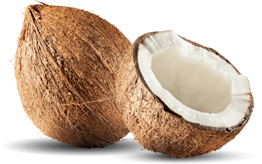 Coconut