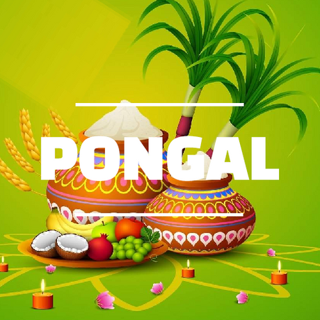 Pongal