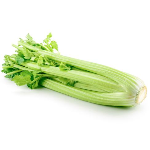 Celery (Each)