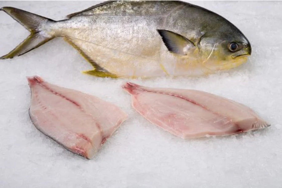 Pompano (3lb)