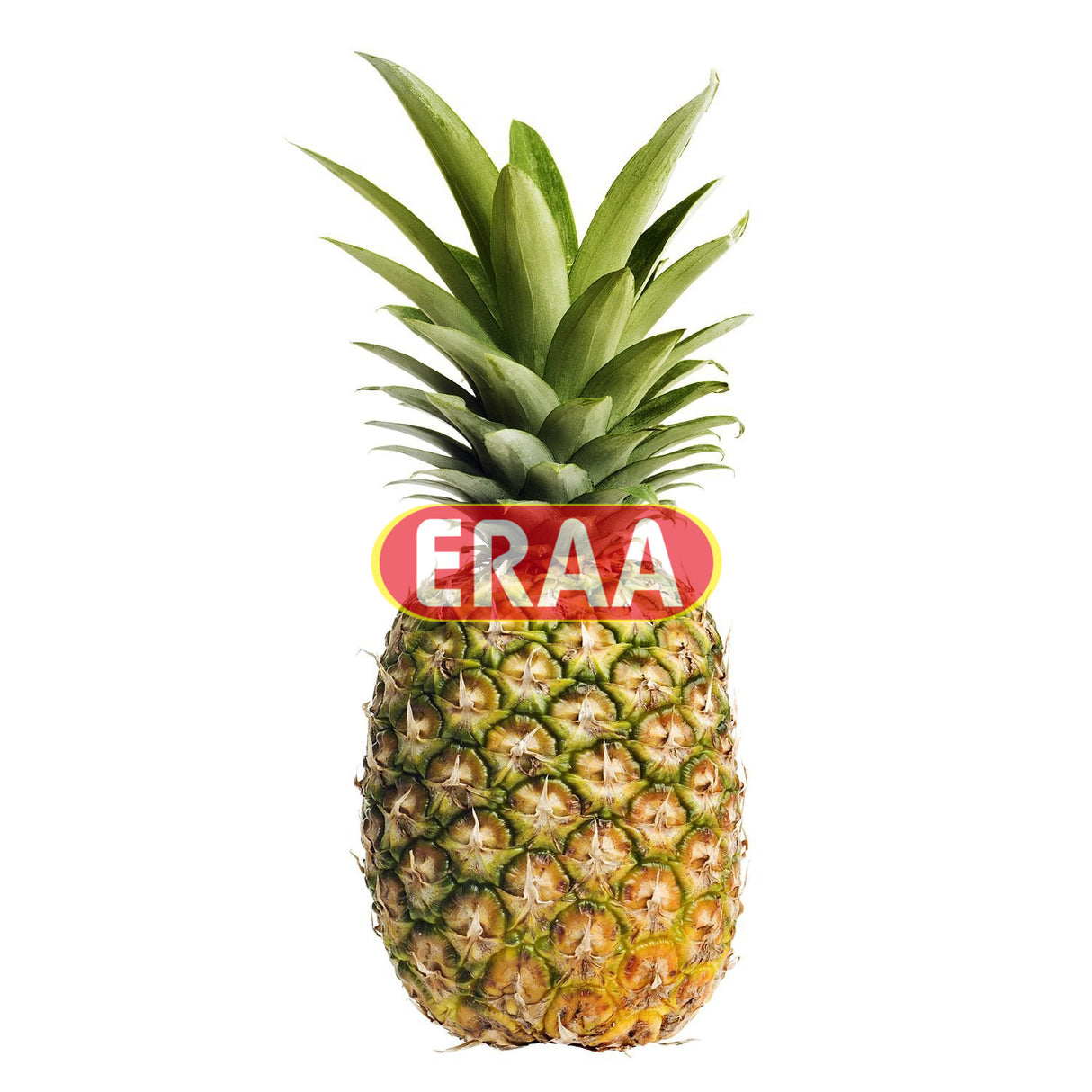 [Buy Affordable Fresh Tamil & Indian Groceries Online]-ERAA