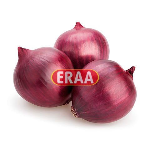 Red Onion 10Lbs Bag