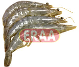 Shrimp (2lb)