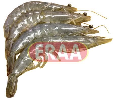 Shrimp (2lb)