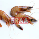 Shrimp (2lb)