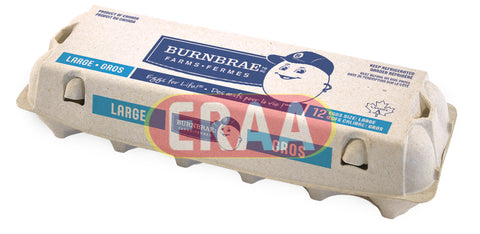 BurnBrae Extra Large 12 Eggs Size White